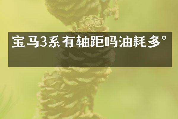 宝马3系有轴距吗油耗多少