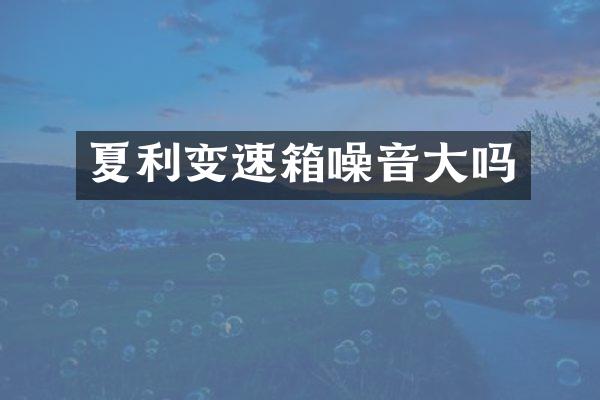 夏利变速箱噪音大吗