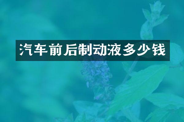 汽车前后制动液多少钱