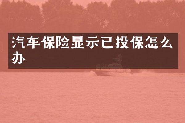 汽车保险显示已投保怎么办