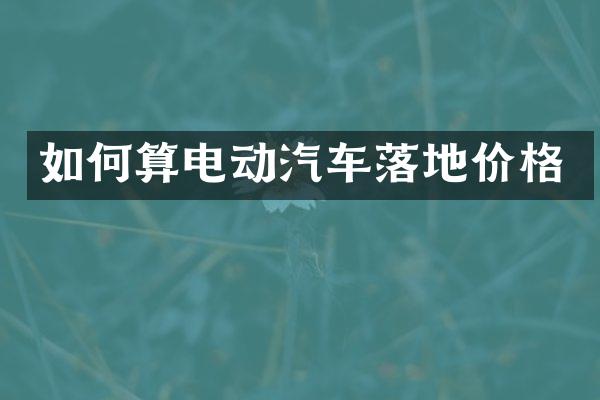 如何算电动汽车落地价格