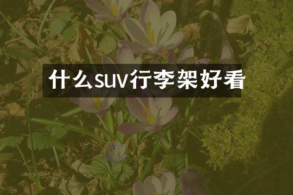 什么suv行李架好看