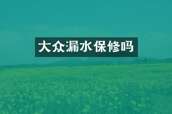 大众漏水保修吗
