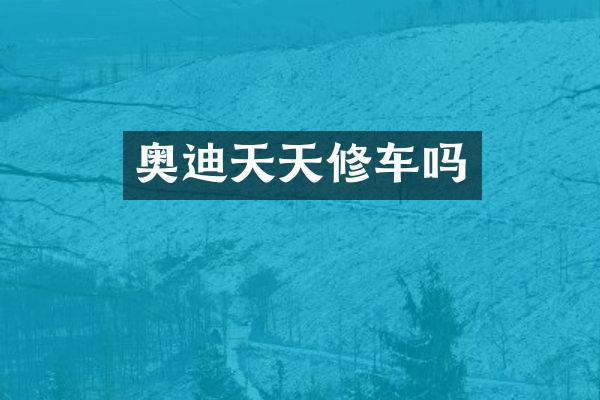 奥迪天天修车吗