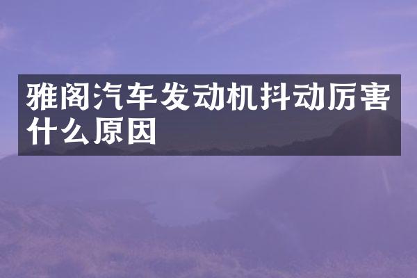 雅阁汽车发动机抖动厉害什么原因