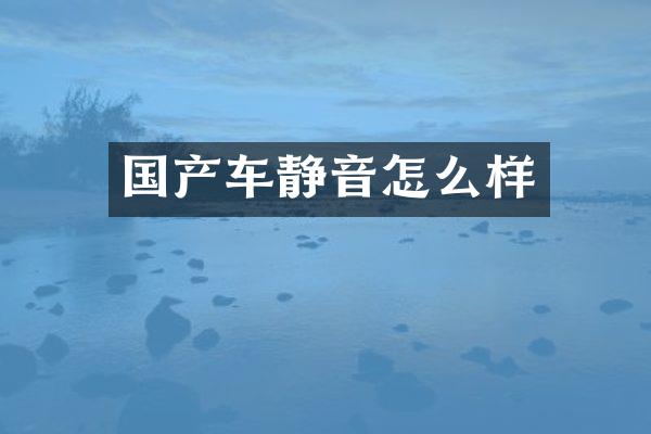 国产车静音怎么样