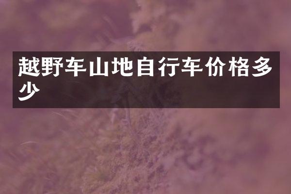 越野车山地自行车价格多少