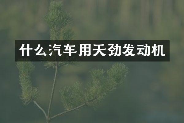什么汽车用天劲发动机