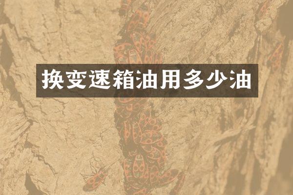 换变速箱油用多少油