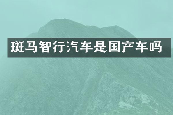 斑马智行汽车是国产车吗