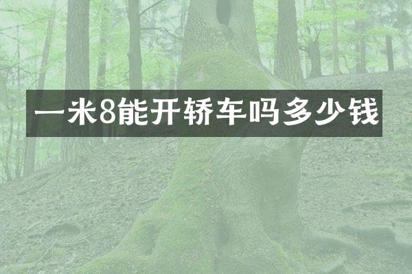一米8能开轿车吗多少钱