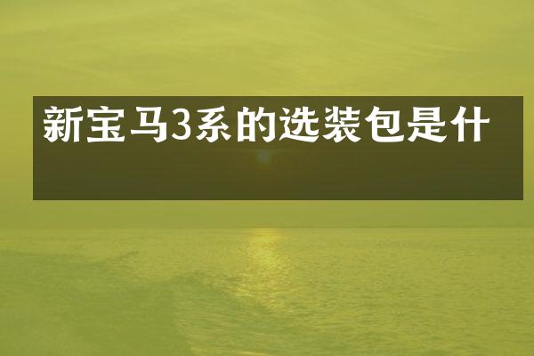 新宝马3系的选装包是什么