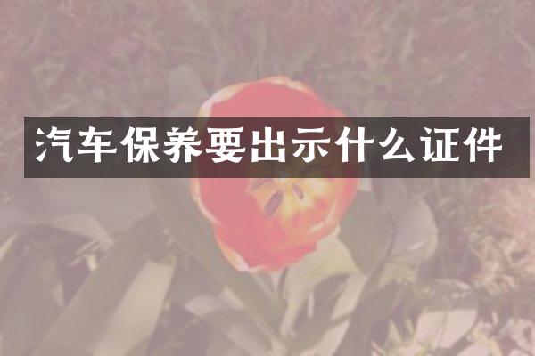 汽车保养要出示什么证件