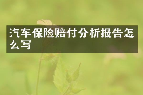 汽车保险赔付分析报告怎么写