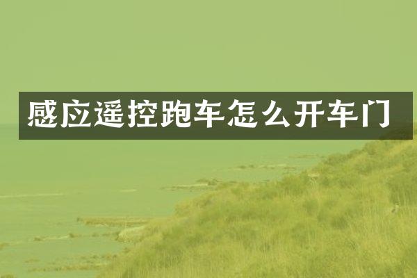 感应遥控跑车怎么开车门