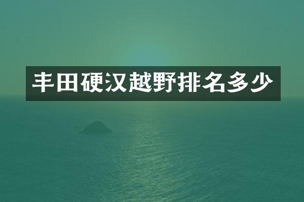 丰田硬汉越野排名多少