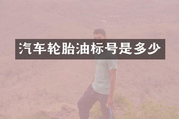 汽车轮胎油标号是多少