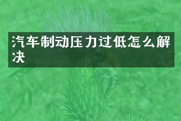 汽车制动压力过低怎么解决