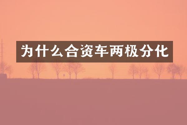 为什么合资车两极分化