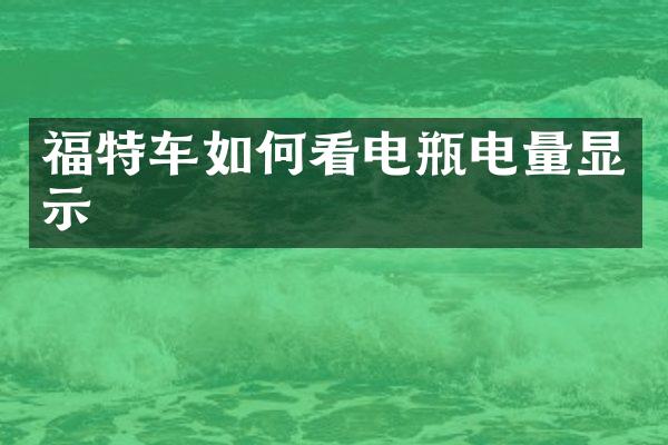 福特车如何看电瓶电量显示