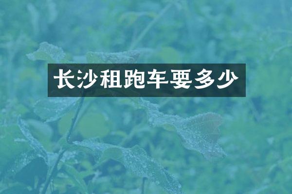 长沙租跑车要多少