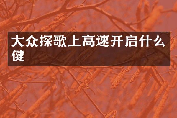 大众探歌上高速开启什么健
