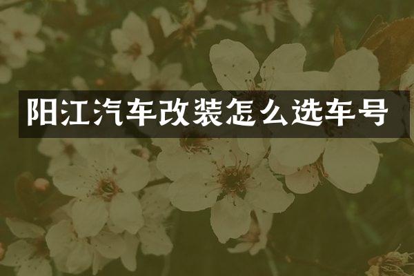 阳江汽车改装怎么选车号