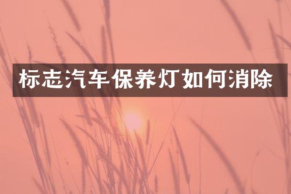 标志汽车保养灯如何消除