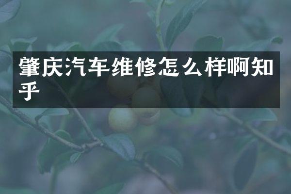 肇庆汽车维修怎么样啊知乎