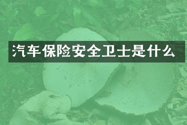 汽车保险安全卫士是什么