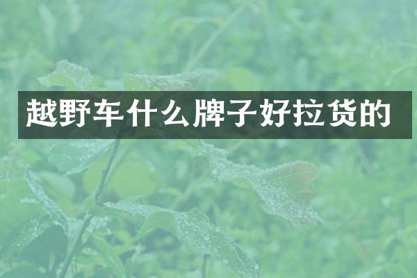 越野车什么牌子好拉货的