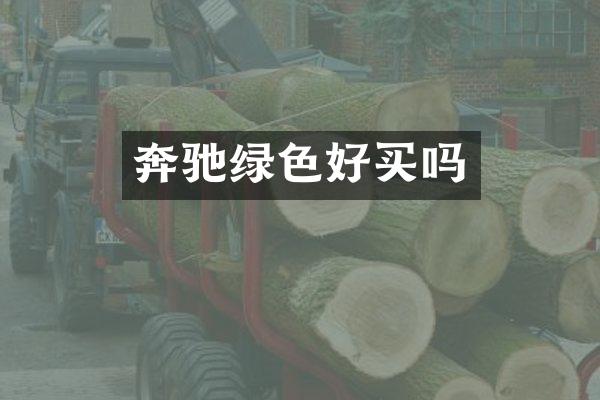 奔驰绿色好买吗