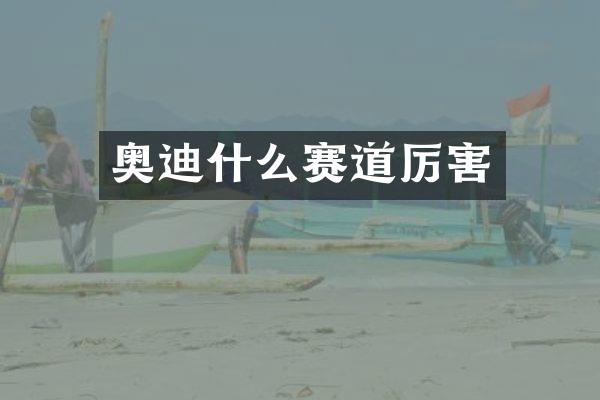 奥迪什么赛道厉害