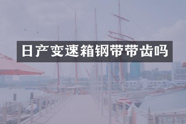 日产变速箱钢带带齿吗