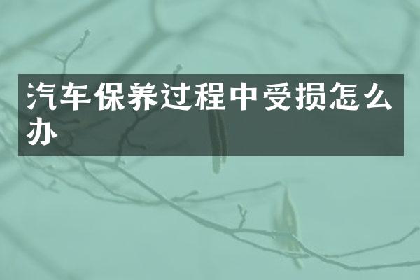 汽车保养过程中受损怎么办