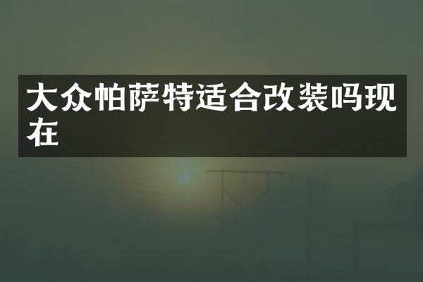大众帕萨特适合改装吗现在