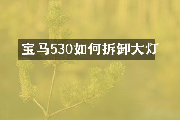 宝马530如何拆卸大灯