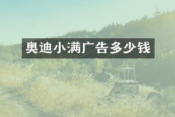 奥迪小满广告多少钱