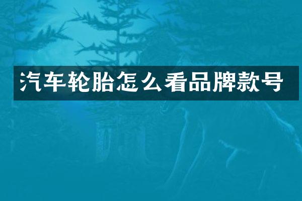 汽车轮胎怎么看品牌款号