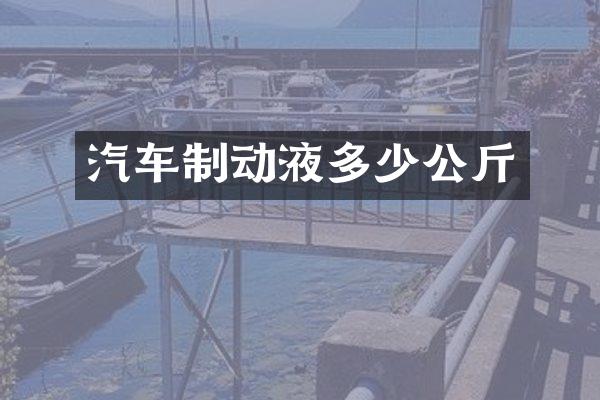 汽车制动液多少公斤