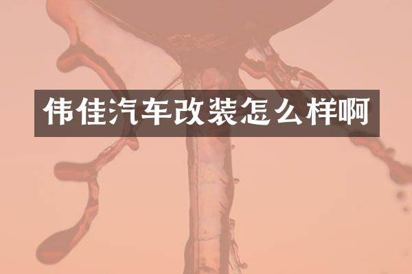 伟佳汽车改装怎么样啊