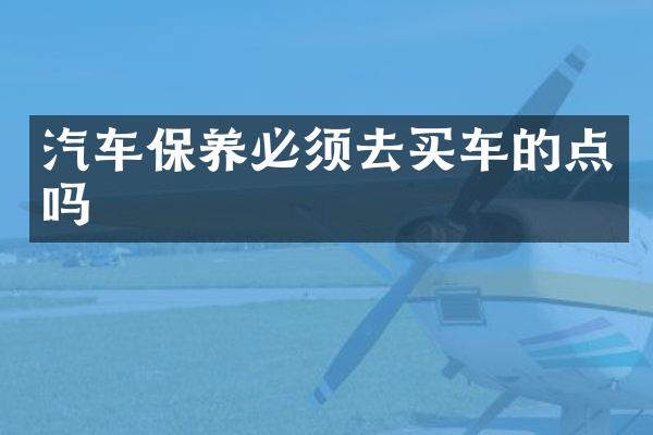 汽车保养必须去买车的点吗