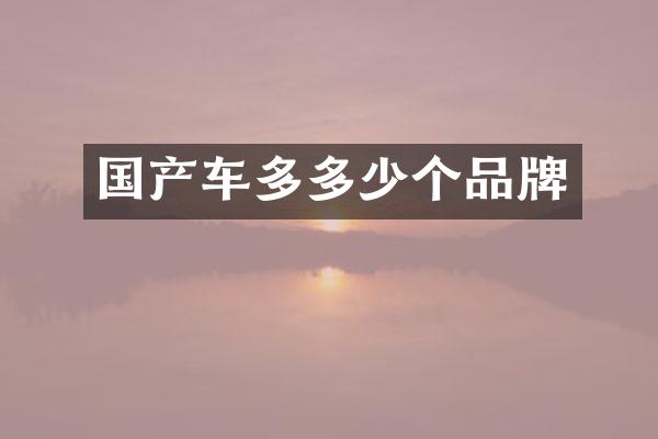 国产车多多少个品牌