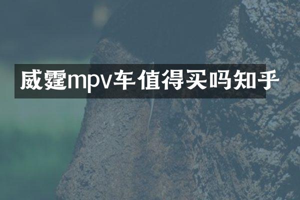 威霆mpv车值得买吗知乎