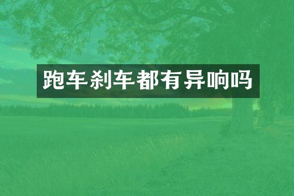 跑车刹车都有异响吗