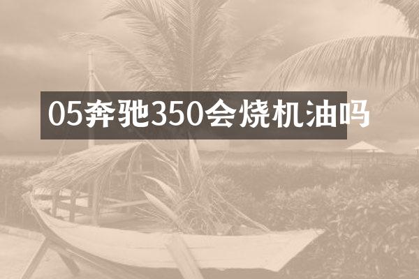 05奔驰350会烧机油吗
