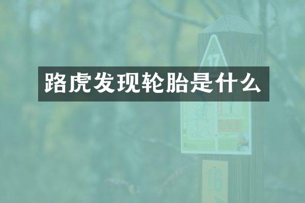路虎发现轮胎是什么