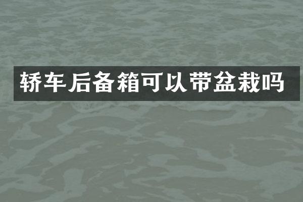 轿车后备箱可以带盆栽吗