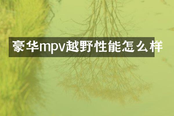 豪华mpv越野性能怎么样