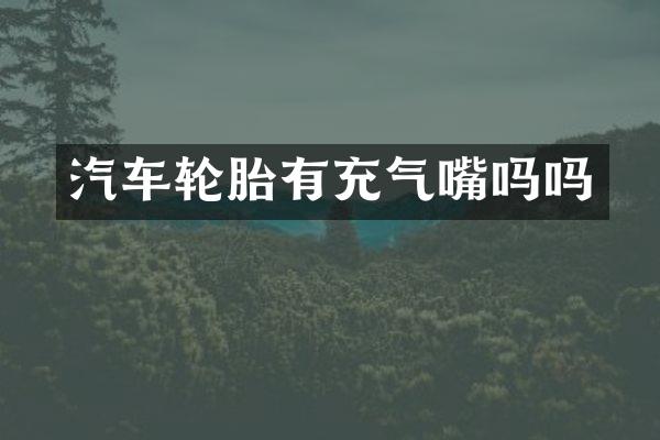 汽车轮胎有充气嘴吗吗